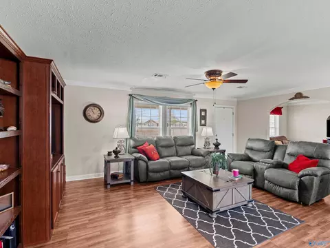 Living - 20405 Winfred Dr, Tanner, AL 35671 photo 2 of 4