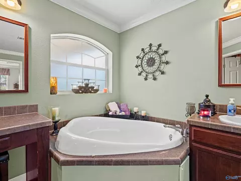 Bath - 20405 Winfred Dr, Tanner, AL 35671 photo 3 of 6