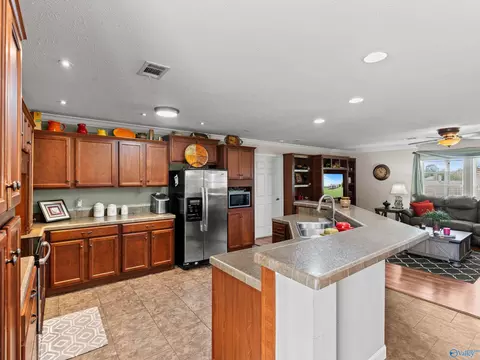 Kitchen - 20405 Winfred Dr, Tanner, AL 35671 photo 1 of 4