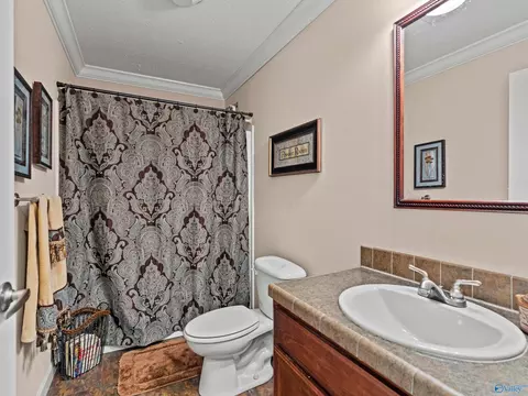 Bath - 20405 Winfred Dr, Tanner, AL 35671 photo 5 of 6