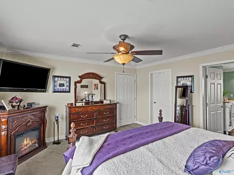 Bedroom - 20405 Winfred Dr, Tanner, AL 35671 photo 2 of 6