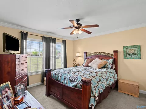 Bedroom - 20405 Winfred Dr, Tanner, AL 35671 photo 3 of 6