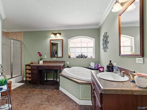 Bath - 20405 Winfred Dr, Tanner, AL 35671 photo 1 of 6