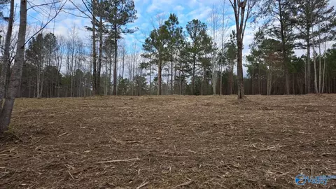 lot49 And 50 Lake View Dr, Mentone, AL 35984