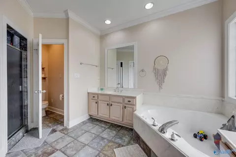 Bath - 136 Forest Home Dr, Trinity, AL 35673 photo 3 of 5