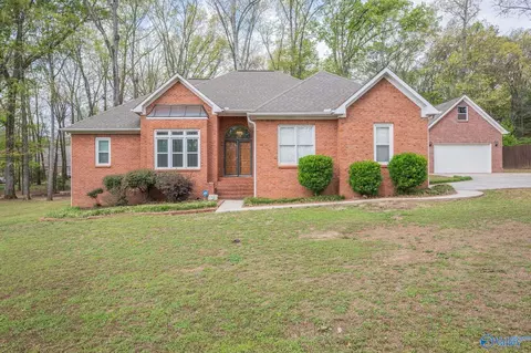 136 Forest Home Dr, Trinity, AL 35673