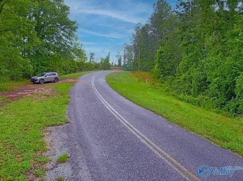 13 5 Acres County Road 338, Elba, AL 36323