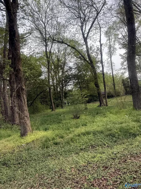 31 10th Ave, Arab, AL 35016