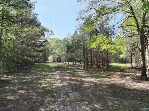 261 Acres County Road 49, Tuskegee, AL 36083