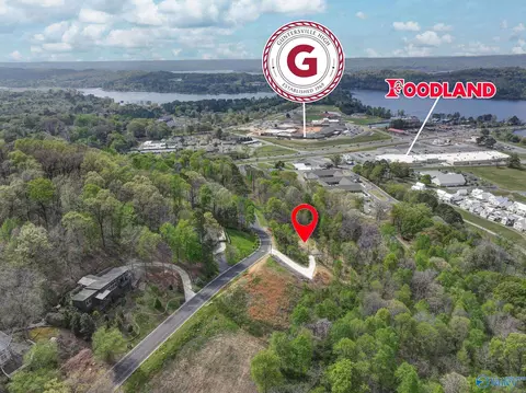 3015 Woodvue Rd, Guntersville, AL 35976