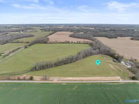 25568 W County Line Rd, Anderson, AL 35610