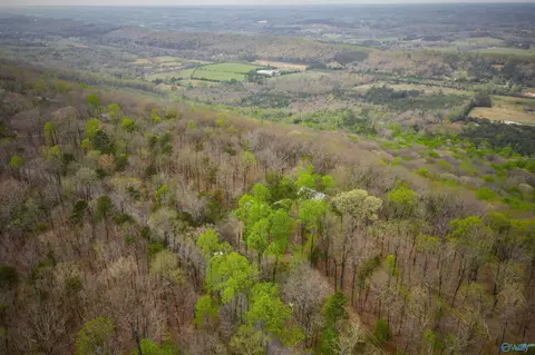 18739 County Road 89 # B, Mentone, AL 35984