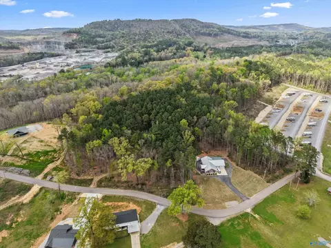 lot19 Adventure Rd, Guntersville, AL 35976