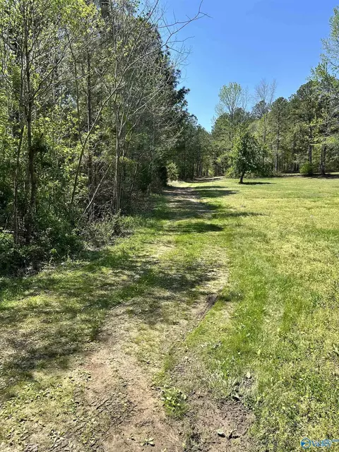 lot1 Pruitt Rd, Piedmont, AL 36272