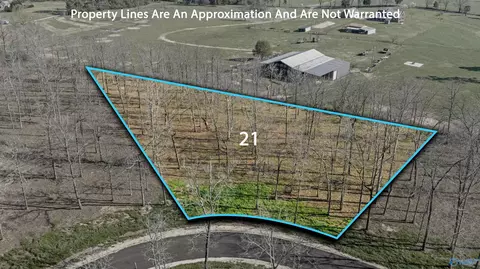 lot21 Garrett St, Rainsville, AL 35986