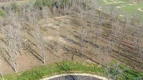 lot22 Garrett St, Rainsville, AL 35986
