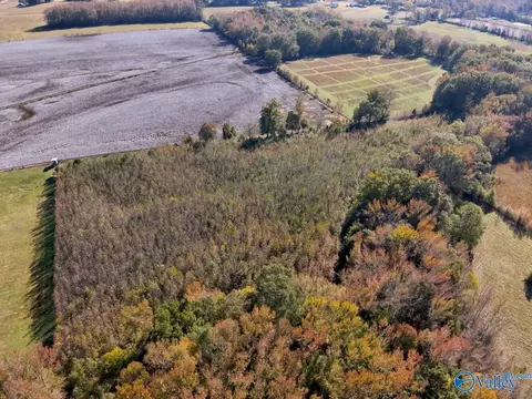 17 82 Acres County Road 67, Lexington, AL 35648