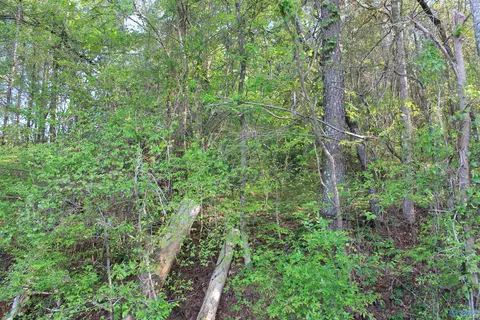 6 65 West Lacon Rd, Falkville, AL 35622