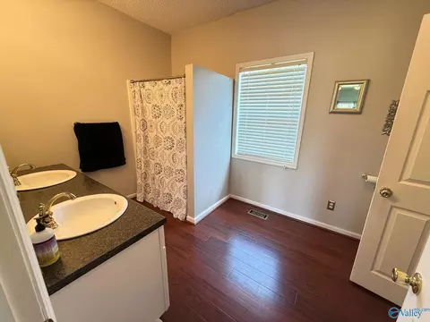 Bath - 684 County Road 358, Trinity, AL 35673 photo 3 of 4