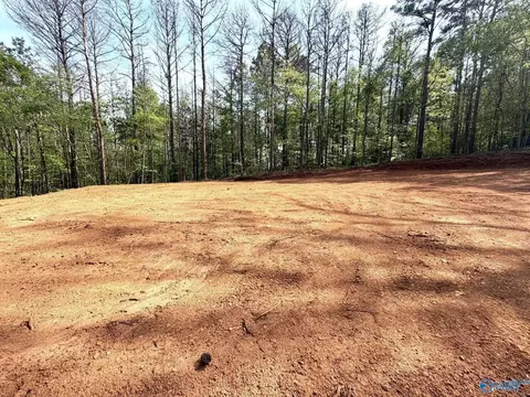 78 Acres Pine St, Steele, AL 35987