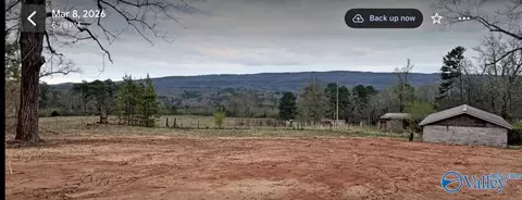 66 Acres County Road 865, Collinsville, AL 35961