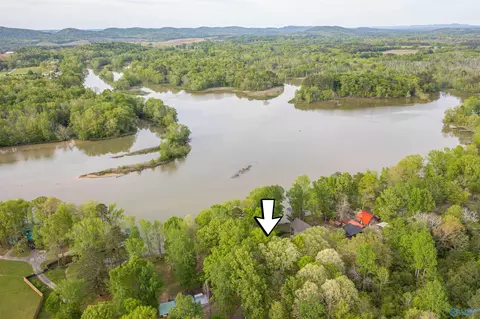 View/Area - 655 County Road 585, Cedar Bluff, AL 35959 photo 5 of 9