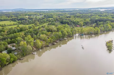 View/Area - 655 County Road 585, Cedar Bluff, AL 35959 photo 8 of 9