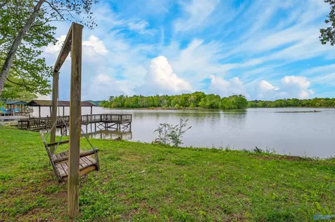 View/Area - 655 County Road 585, Cedar Bluff, AL 35959 photo 3 of 9