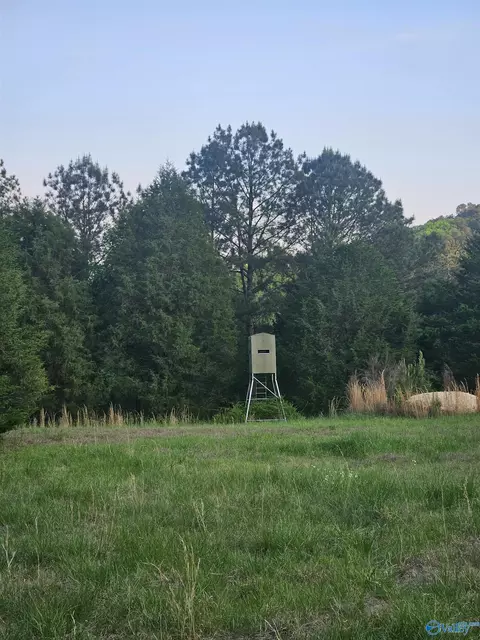8200 Owls Hollow Rd, Gadsden, AL 35901
