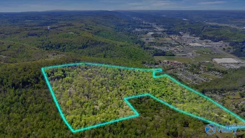 5411 Martin Ave # A, Fort Payne, AL 35967