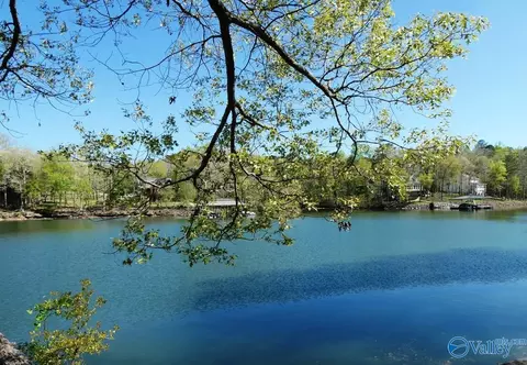 lot7 Bullbranch Dr, Double Springs, AL 35553
