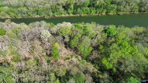 lot12 Christopher Rd, Elkmont, AL 35620