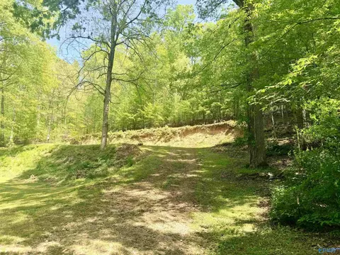 17940 Blue Springs Rd, Athens, AL 35611