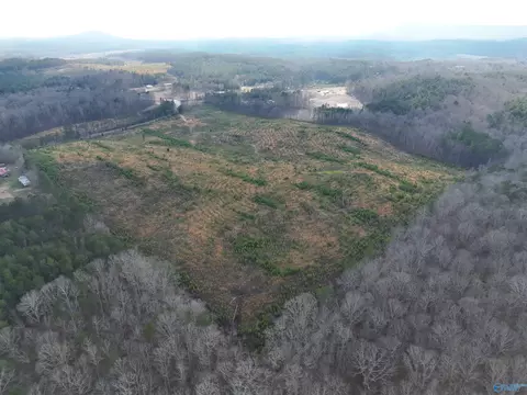 57 Ac County Road 921, Gaylesville, AL 35973