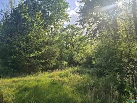 396 Bob Haas Rd, Hollywood, AL 35752