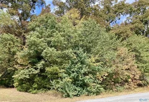 1314 Forest Home Dr, Trinity, AL 35673 photo 4
