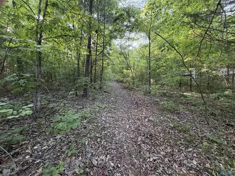 1314 Forest Home Dr, Trinity, AL 35673 photo 9