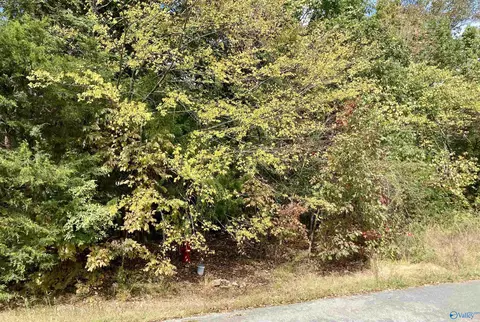 1314 Forest Home Dr, Trinity, AL 35673 photo 5