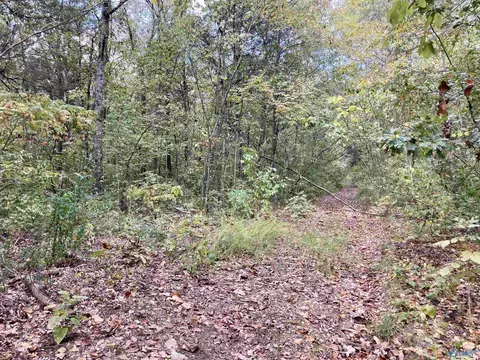 1314 Forest Home Dr, Trinity, AL 35673 photo 7
