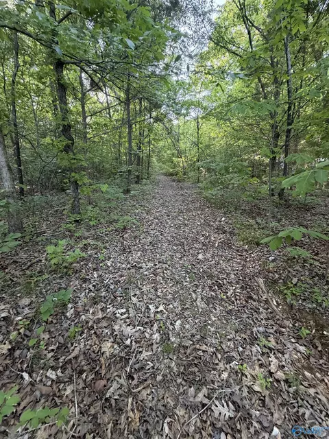 1314 Forest Home Dr, Trinity, AL 35673 photo 8