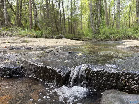 20 90 Ac County Road 361, Pisgah, AL 35765