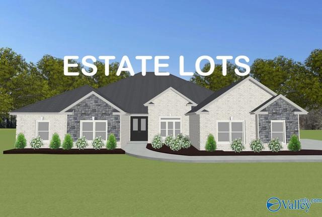 Manchester-e Newby Chapel Road, Athens, AL 35613