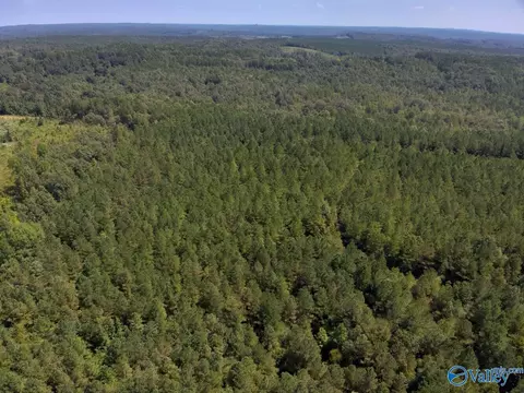 221 Blue Bird Rd, Sulligent, AL 35586
