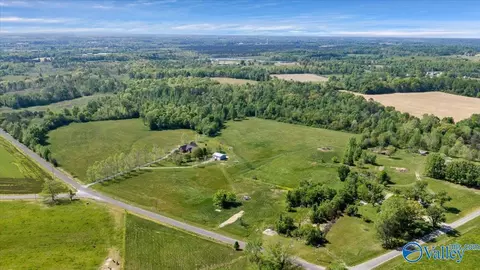 View/Area - 1868 County Road 51, Dutton, AL 35744 photo 4 of 6