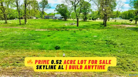52 Acre County Road 825, Scottsboro, AL 35768