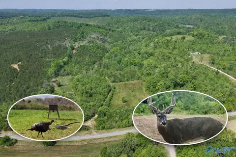 72 Ac County Road 227, Attalla, AL 35954