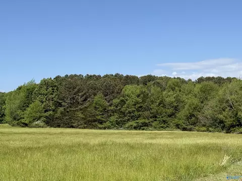 3 Acres Mount Lebanon Rd, Toney, AL 35773