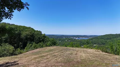 4 Rocky Branch Drive, Guntersville, AL 35976