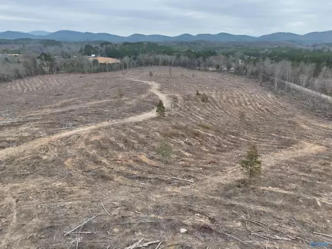 80 Ac County Road 75, Cedar Bluff, AL 35959