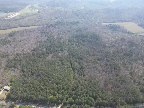 80 Acres Pine Ridge Rd, Wellington, AL 36279